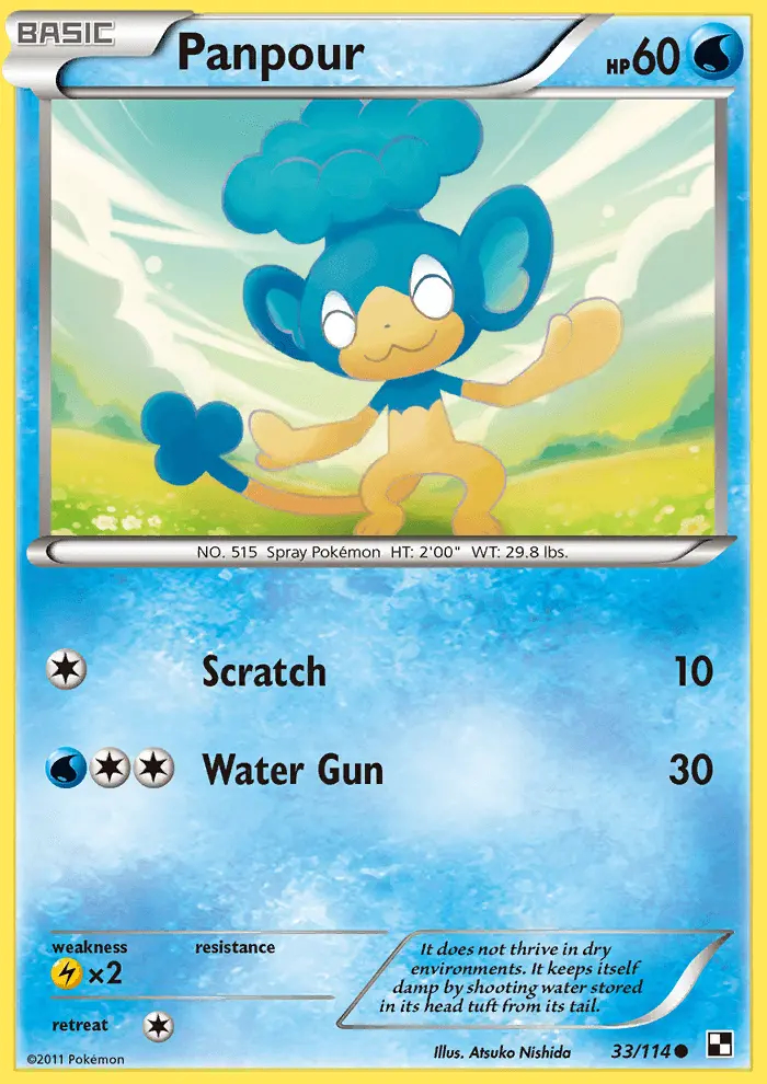 Image of the card Panpour
