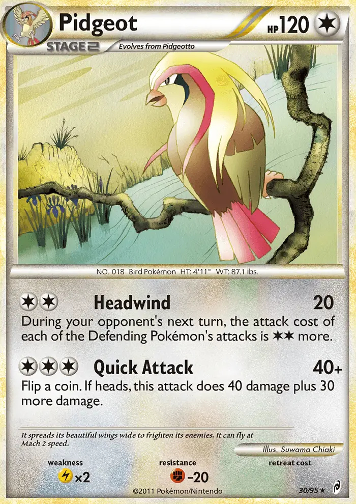 Image of the card Pidgeot