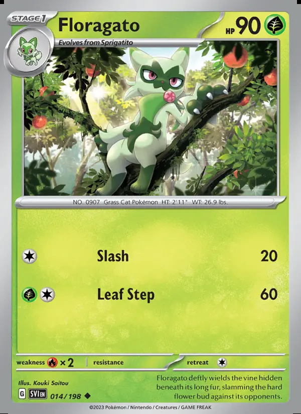Image of the card Floragato