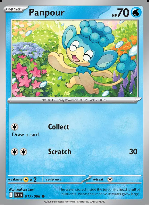 Image of the card Panpour