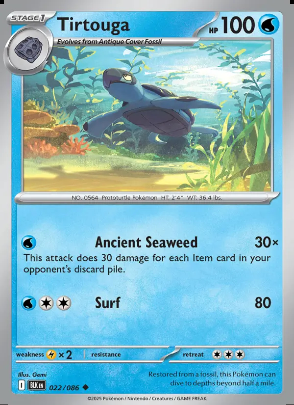 Image of the card Tirtouga