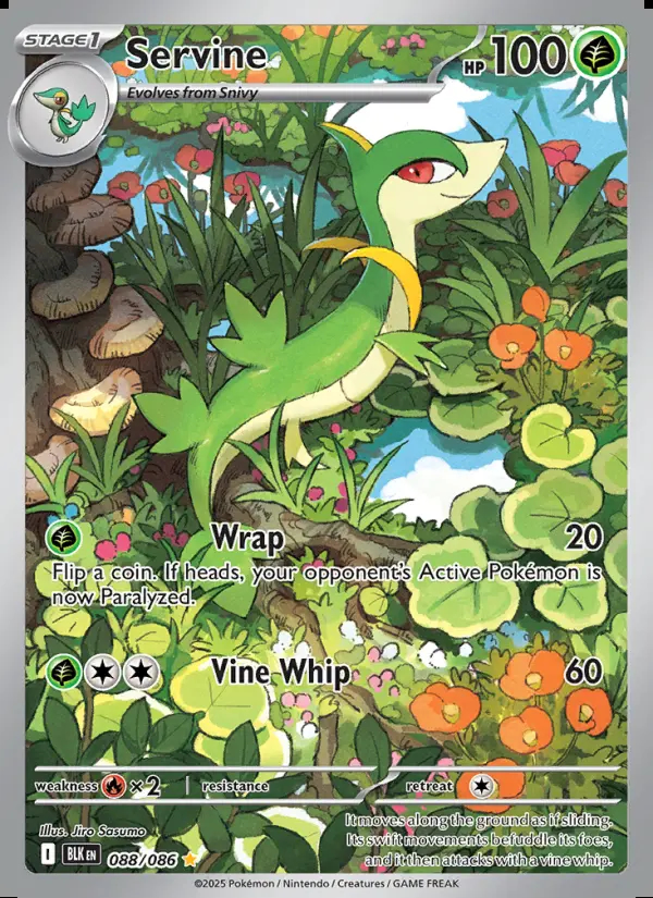 Image of the card Servine