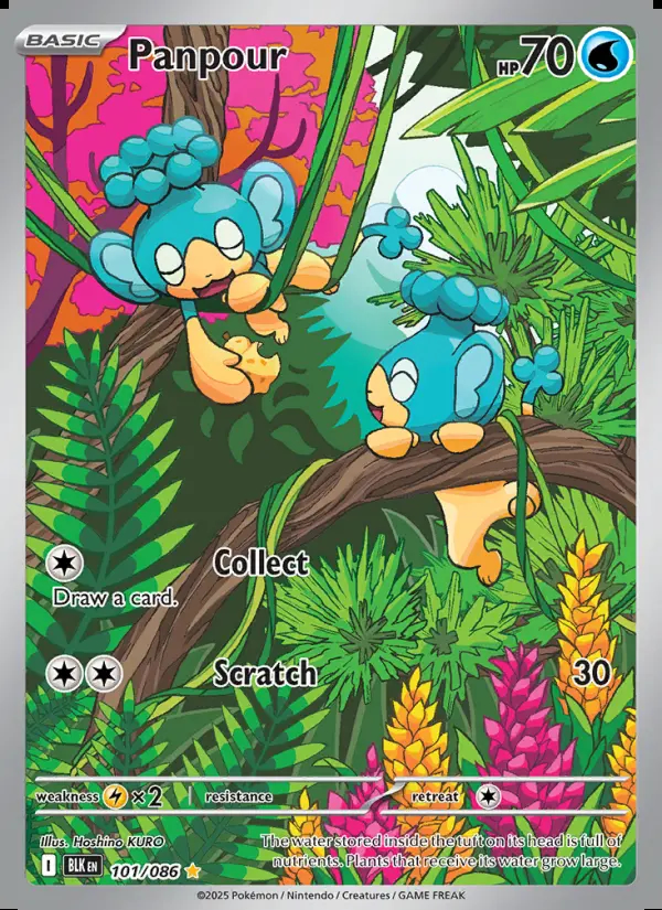 Image of the card Panpour