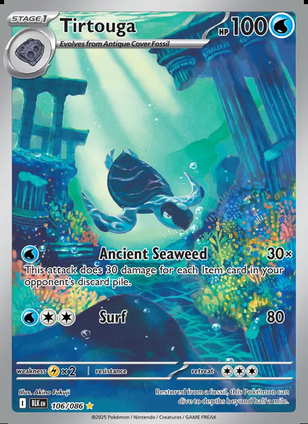 Image of the card Tirtouga