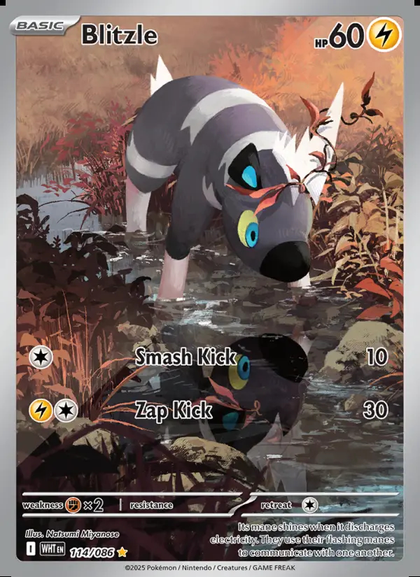 Image of the card Blitzle