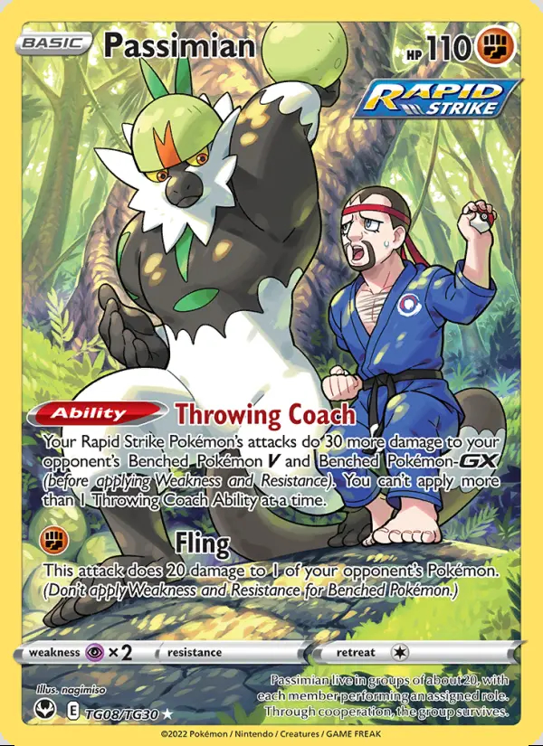 Image of the card Passimian